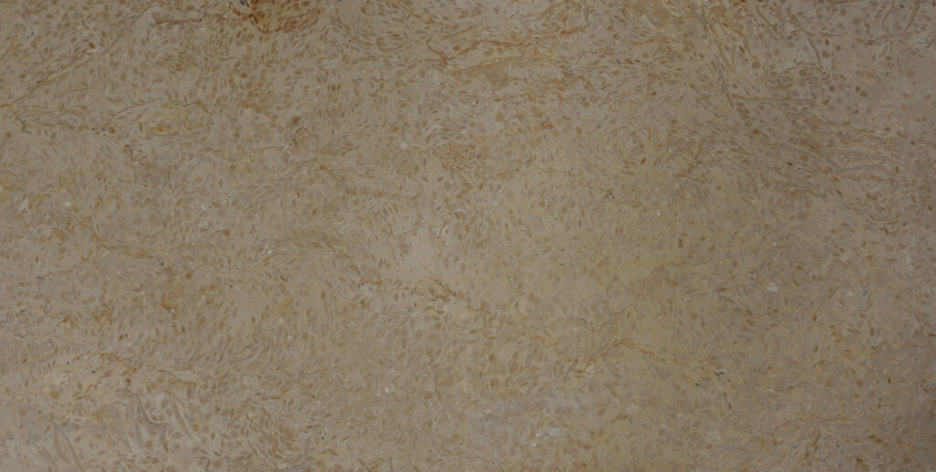 MARMAR فويصل باكستاني فقط i 30x60 i